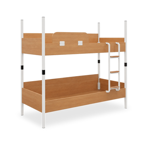 Buche